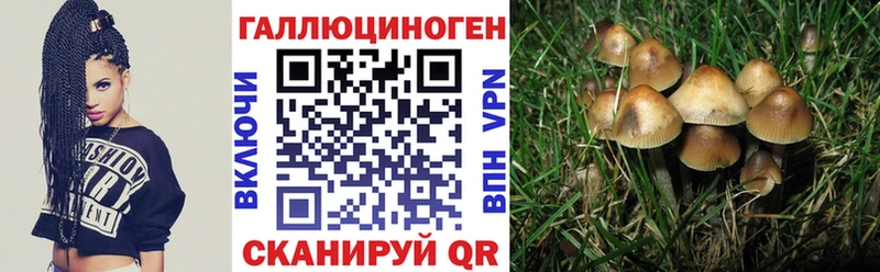Галлюциногенные грибы Magic Shrooms хочу darknet состав Тейково